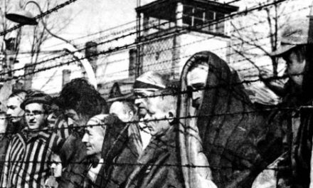 Három hónap alatt ölhették meg a holokauszt áldozatainak egynegyedét