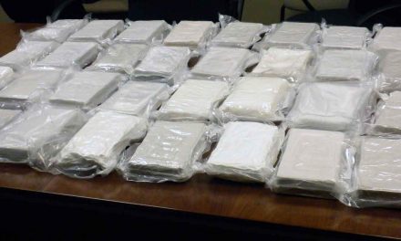 Egymilliót ér a határon vasárnap lefoglalt tíz kilónyi kokain