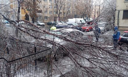 Fákat és villanyvezetékeket szakított le, közlekedési gondokat okozott az ónos eső Romániában