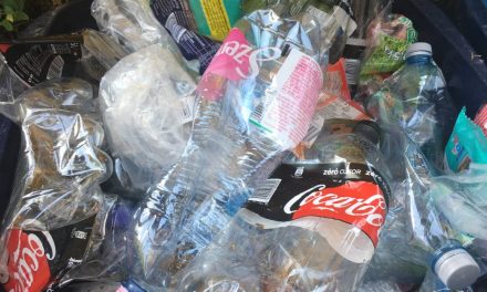 2020: Visszaválthatók lesznek a műanyag palackok