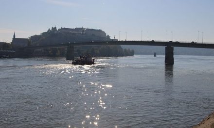 Újvidék: A Váradi-hídról ugrott a folyóba