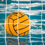 Vajdasági származású személy lett a magyar válogatott csapatmenedzsere (videó)