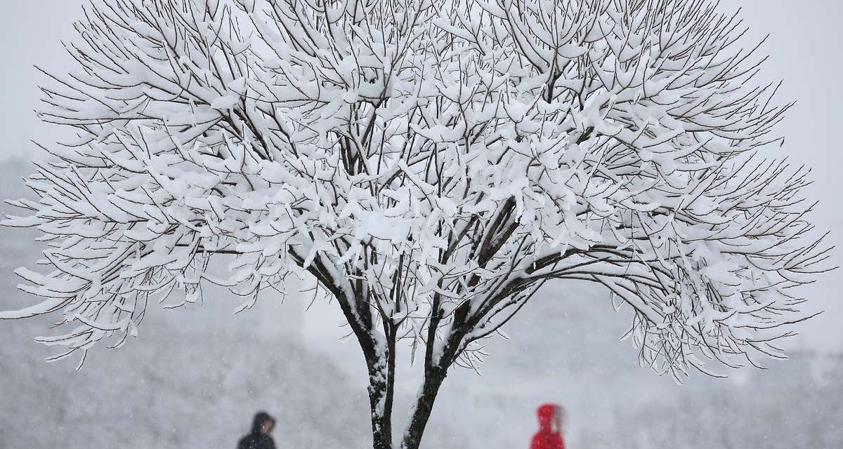 Moszkvában 140 éves napi havazási rekord dőlt meg