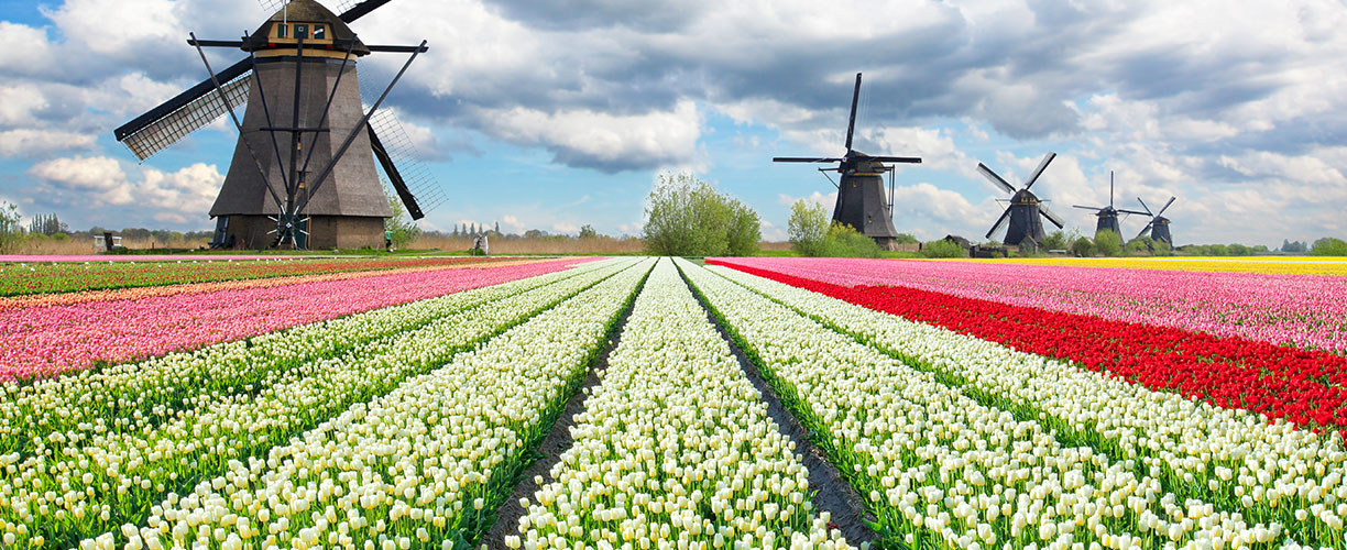 Hollandia: az országnak évente 50 ezer új külföldi munkavállalóra van szüksége