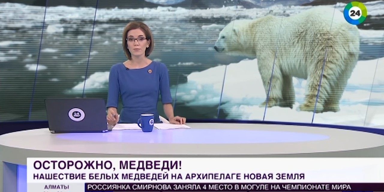 Jegesmedvék tartják rettegésben egy oroszországi szigetcsoport lakóit (Videó)