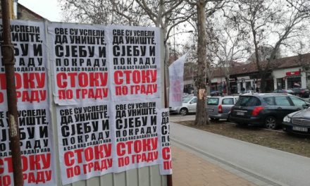Újvidék: Ellepték a várost a tiltakozásellenes plakátok