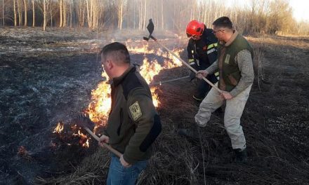 Harminc hektárnyi terület lángolt a Fruška gora Nemzeti Parkban