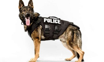 Három szolgálati kutyát ajándékoz a szerb rendőrségnek a magyar kormány