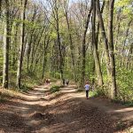 Hét állami vállalat, köztük a Fruška Gora Nemzeti Park alakul át kft.-vé