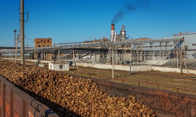 Zenta: Négymillió euróért eladó a cukorgyár legértékesebb egysége