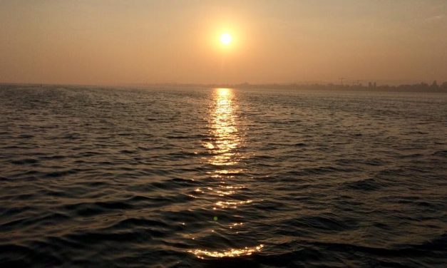 <span class="entry-title-primary">a madárijesztők ideje</span> <span class="entry-subtitle">Jozefina Dautbegović Krajinović verse</span>