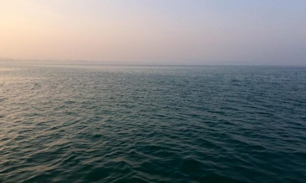 <span class="entry-title-primary">mint a rühes kutya – oldalazva a szélén</span> <span class="entry-subtitle">Jozefina Dautbegović Krajinović verse</span>