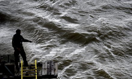 Dunai hajóbaleset: Nem a Hableány fordult be a szállodahajó elé