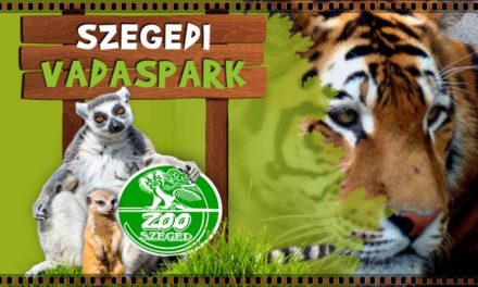 Késő esti programokkal várják a látogatókat a Szegedi Vadasparkban