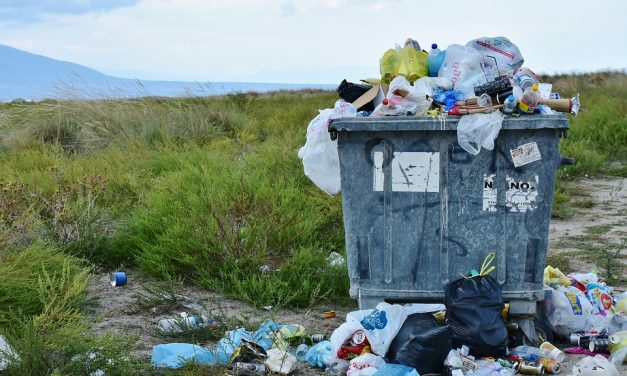 Trivan: Szerbiában 80 százalékkal csökkent a műanyag zacskók felhasználása