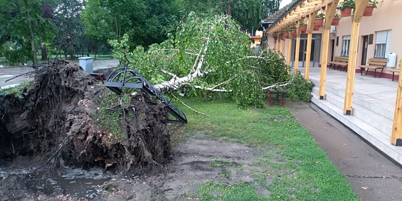 Fákat tépett ki a vihar Kispiacon (Fotók, Videó)
