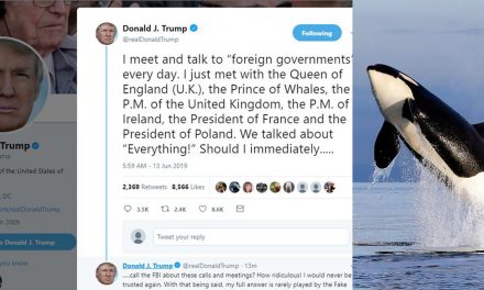Baklövést követett el Donald Trump a walesi herceg címének leírásakor
