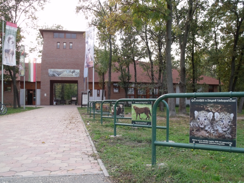 Késő esti programokkal várják szombaton a látogatókat a Szegedi Vadasparkban