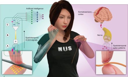 Elektronikus bőrt fejlesztettek szingapúri kutatók
