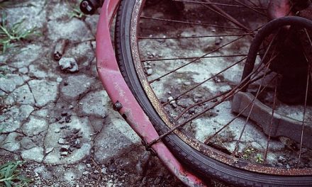 Újvidék: Combcsonttörést szenvedett az autós által elütött kerékpáros