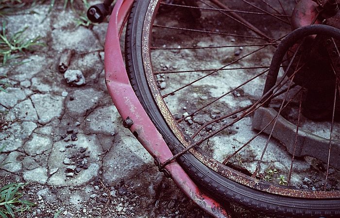 Újvidék: Combcsonttörést szenvedett az autós által elütött kerékpáros