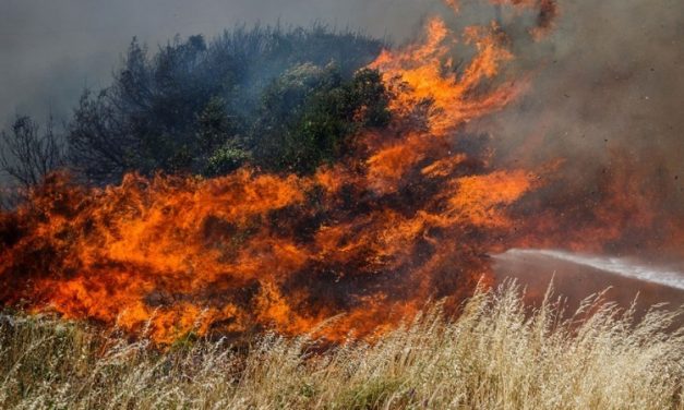 Egy piromániás pénztárosnő okozhatta a šibeniki erdőtüzet