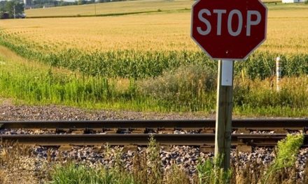 Felújítják és villamosítják a vasútvonalat Szegedtől a röszkei határig