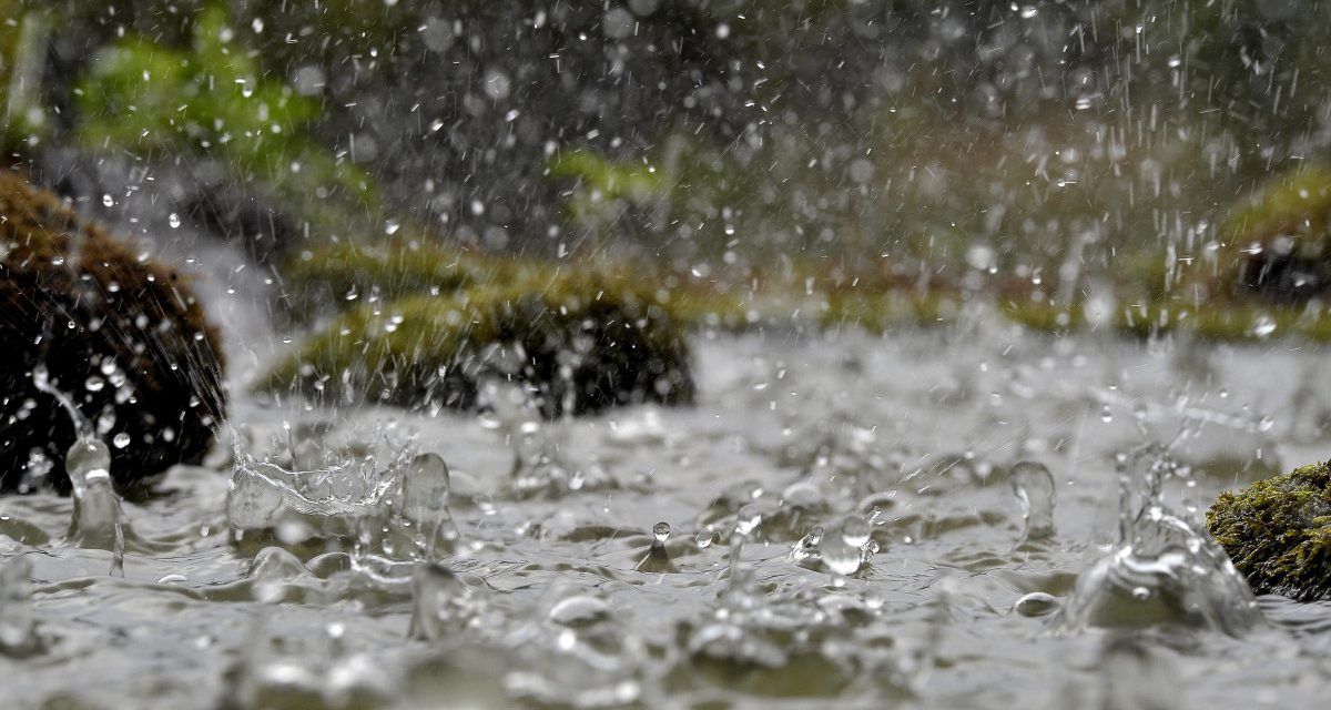 Bácska: Húsz liter eső is eshet négyzetméterenként