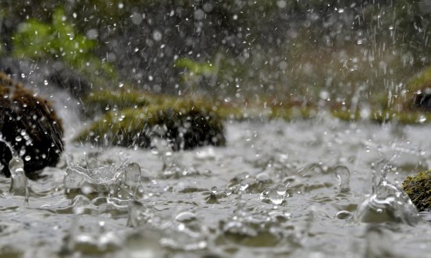 Bácska: Húsz liter eső is eshet négyzetméterenként