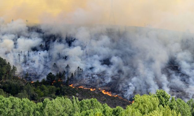 Dél-Szerbiában több helyen ég az erdő, de az aknák miatt nem tudják oltani a tüzet