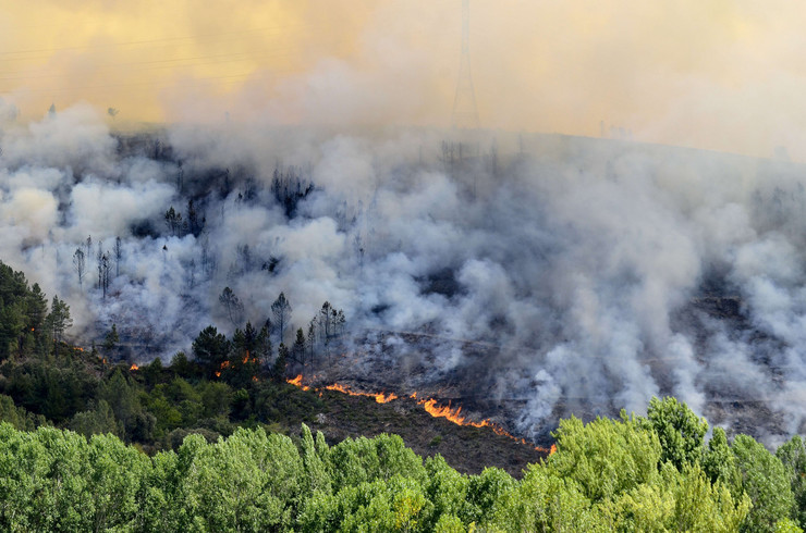 Dél-Szerbiában több helyen ég az erdő, de az aknák miatt nem tudják oltani a tüzet