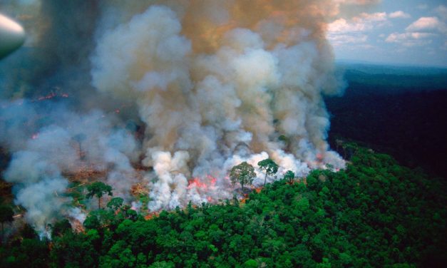 Macron az amazonasi erdőtűzről: Ég a házunk!