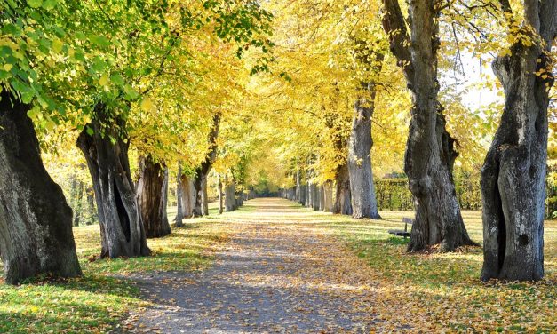 Húsz fok is lehet a hétvégén