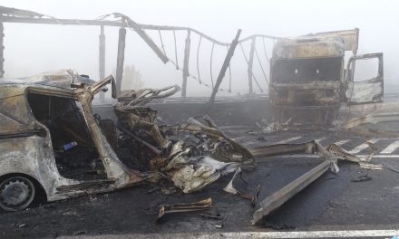 M5: Szerb kamionos okozta a hét emberéletet követelő balesetet