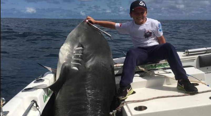 Háromszáztizennégy kilós cápát fogott ki egy nyolcéves kisfiú