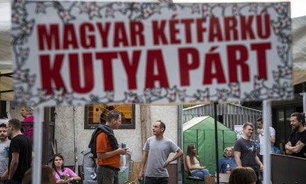 Négy budapesti önkormányzatba is bejutott a Magyar Kétfarkú Kutya Párt