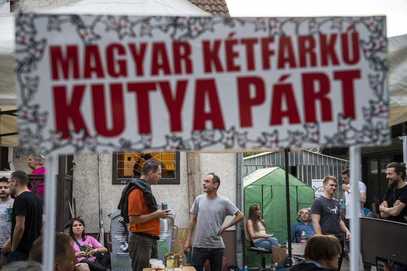 Négy budapesti önkormányzatba is bejutott a Magyar Kétfarkú Kutya Párt