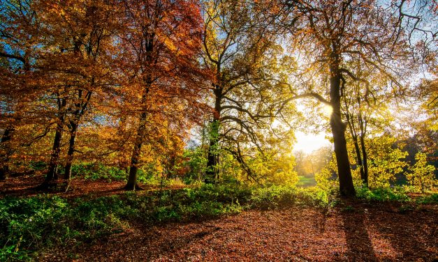 A meteorológusok szerint mégis lesz vénasszonyok nyara
