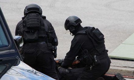 Tizenhat kokaincsempészt vettek őrizetbe Brazíliában, vezetőjük egy szerb férfi volt