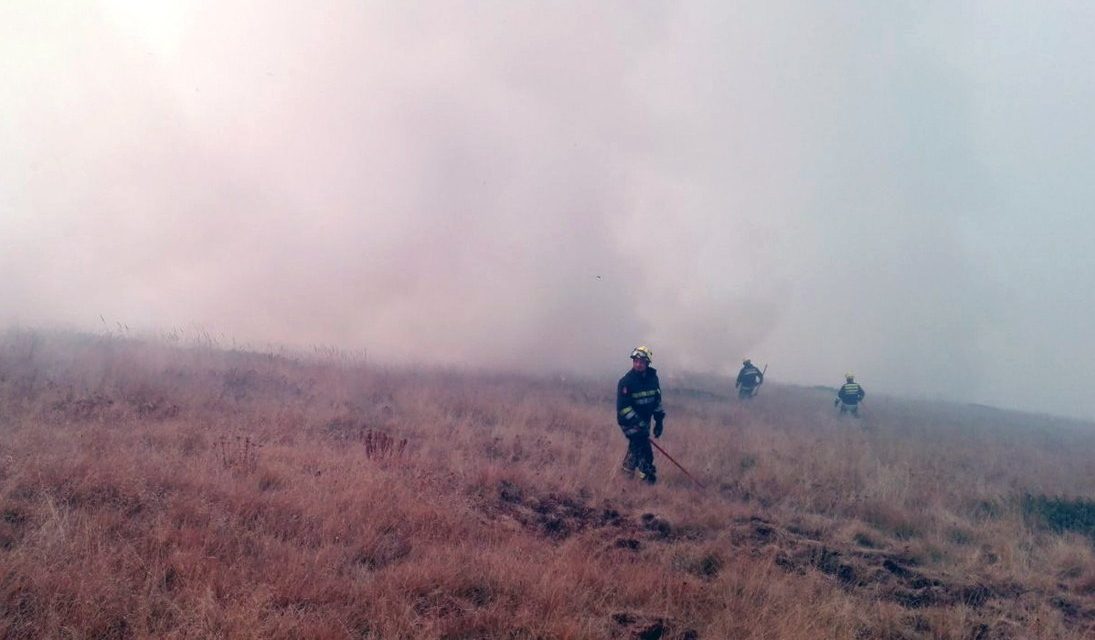 Megfékezték a tűz terjedését Dél-Szerbiában