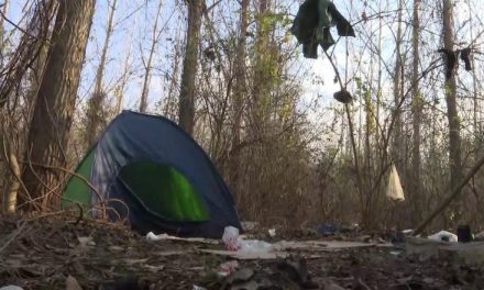 Illegális sátortáborokat számoltak fel Magyarkanizsán