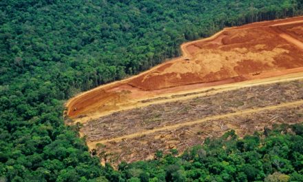 Évtizedes rekordot döntött Brazíliában az amazonasi erdőirtás mértéke