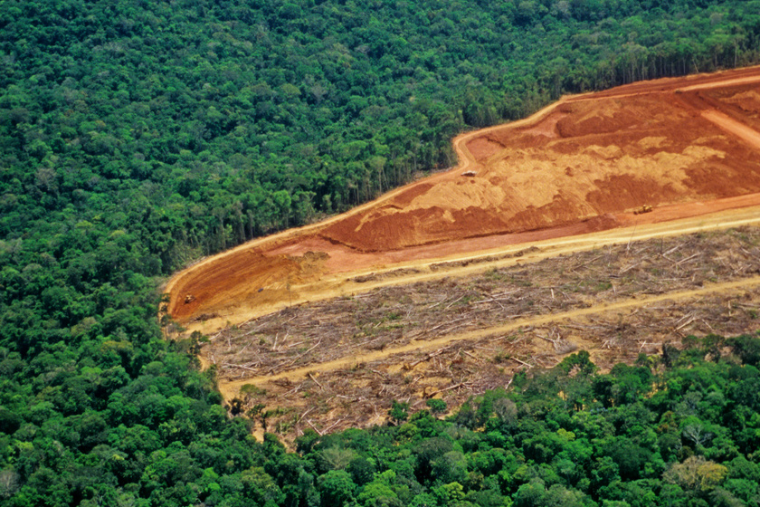 Évtizedes rekordot döntött Brazíliában az amazonasi erdőirtás mértéke