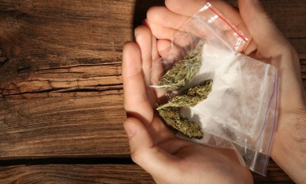 A fű és a kokain a legnépszerűbb drog Európában