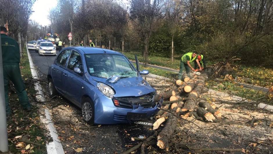 Belgrád: Mozgásban lévő autóra esett egy fa, ketten megsérültek