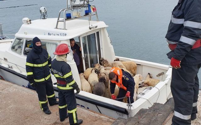 Felborult egy juhokat szállító hajó a Fekete-tengeren (Videó)