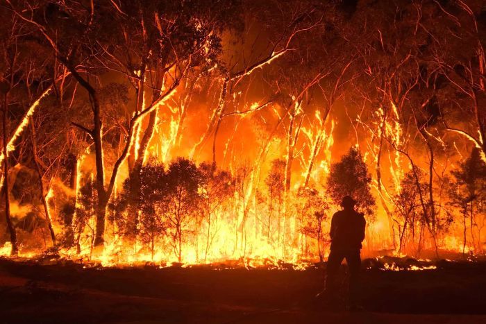 Ausztrál tűzvész: Áradásokat okoznak a heves zivatarok, de sok helyütt ég még a bozót és az erdő