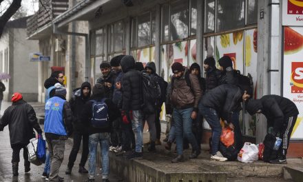 A szerb határőrség elfogta a Magyarországra betörni szándékozó migránsok egy részét