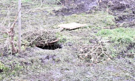 Újabb alagutat találtak a magyar rendőrök a szerb határ közelében