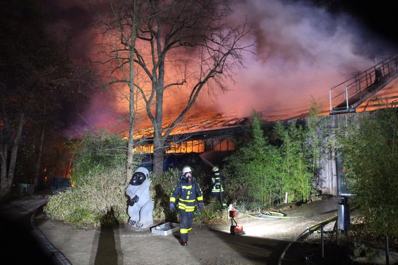 Leégett egy állatkerti majomház a németországi Krefeldben, több mint harminc állat pusztult el